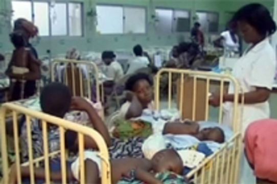 Жертвами вспышки бешенства в Анголе [стали 93 ребенка]