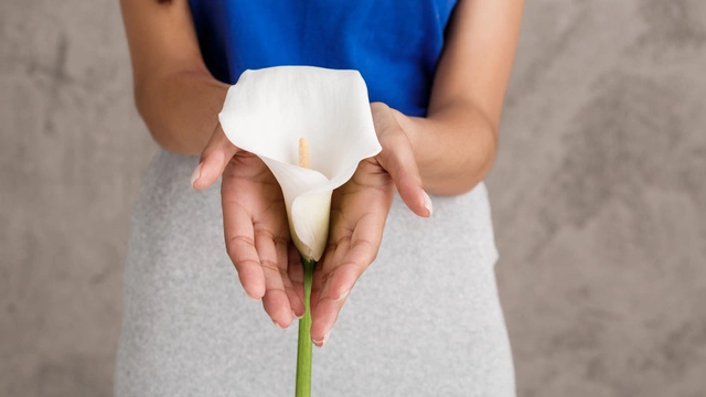 Биопленка, дисбиоз и эстрогены: гинеколог перечислила 6 причин хронической молочницы