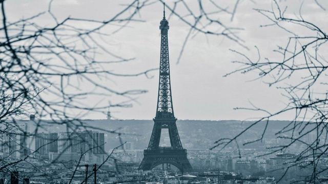 Появились доказательства существования COVID во Франции до известного "китайского следа"