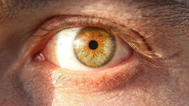Что делать если дергается глаз | блог Хирургия глаза