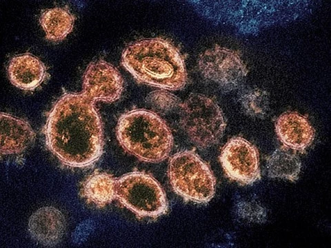 Коронавирус: Инфекция быстро распространяется в Южной Корее, Италии и Иране