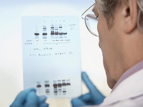PopScience: доверять ли фармацевтическим компаниям свою ДНК?