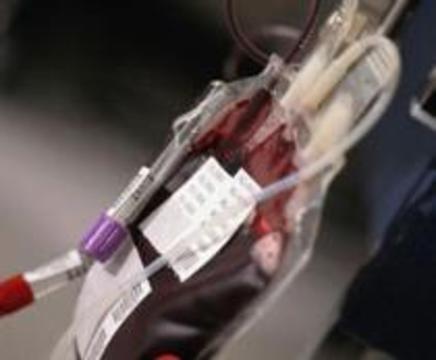 ВОЗ: 8 из 10 человек в мире не имеют доступа к безопасной крови