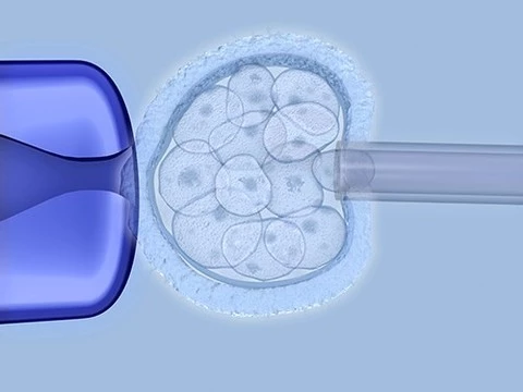 Новая система тестирования лекарств заменит эксперименты на животных