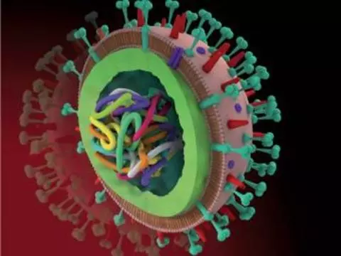 В США успешно испытали [универсальную вакцину от гриппа]