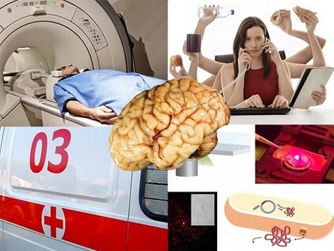 Правда ли, что женщины многозадачны, и как подслушать разговор бактерий?
