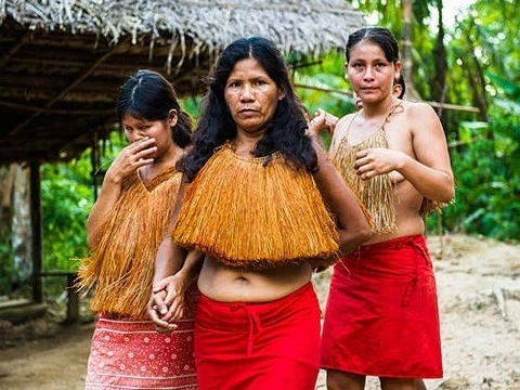 В отрезанных от мира племенах Амазонки найдена устойчивость к антибиотикам