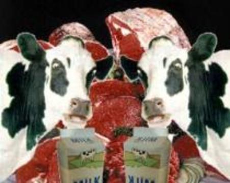 Молоко и мясо клонированных животных снова признано безопасным