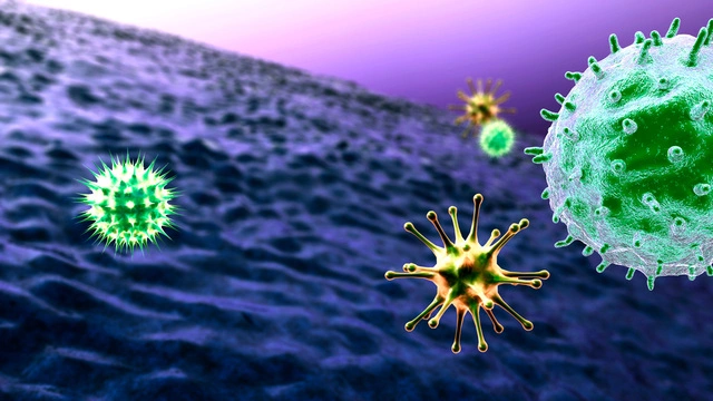 У пациентов без антител после COVID-19 оказался слабый Т-клеточный иммунитет