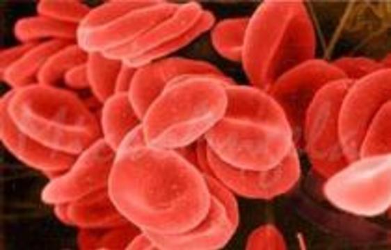 Клетки крови уничтожат опухоль