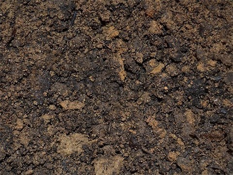 Ученые исследуют новое лекарство от ожирения, полученное из грязи