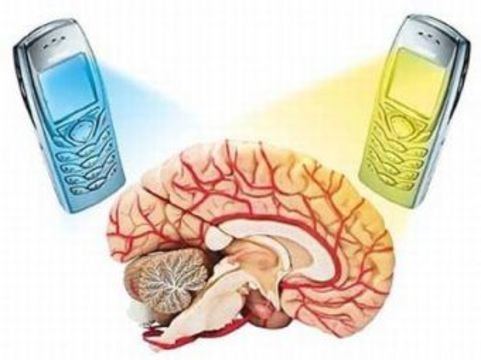 Влияние излучения исходящего от сотового телефона на организм человека проект по физике