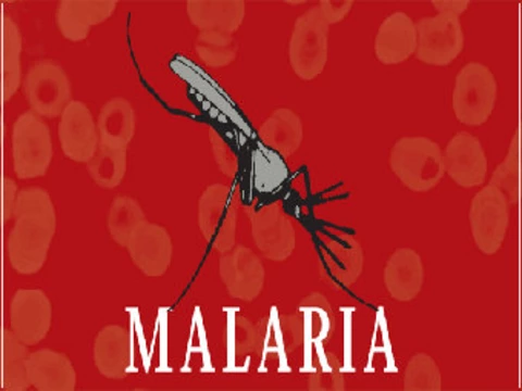 [Малярия вернулась] в Грецию