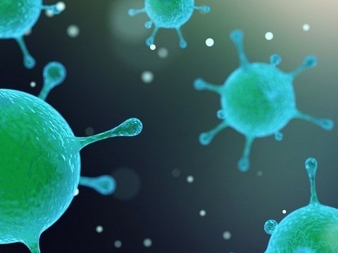 Количество инфицированных коронавирусом превысило 40000, умерших от болезни - более 900