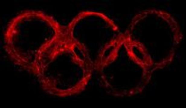 Олимпийские кольца вырастили из живых клеток мозга