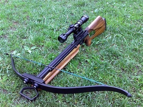 12-летний мальчик выстрелил себе в голову из арбалета