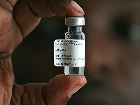Первая в мире вакцина от малярии не так эффективна, как ожидалось