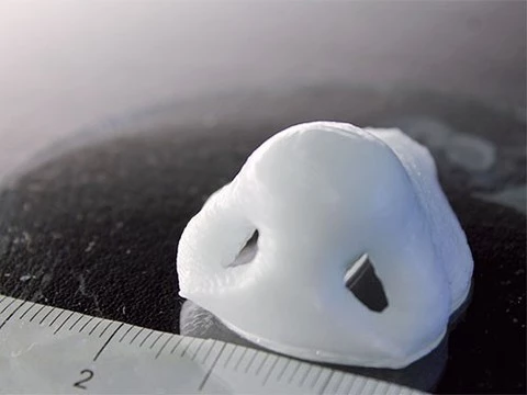 Швейцарские ученые разработали быструю 3D-печать носовых хрящей