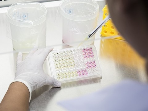 Суперустойчивый к антибиотикам штамм добрался и до Европы