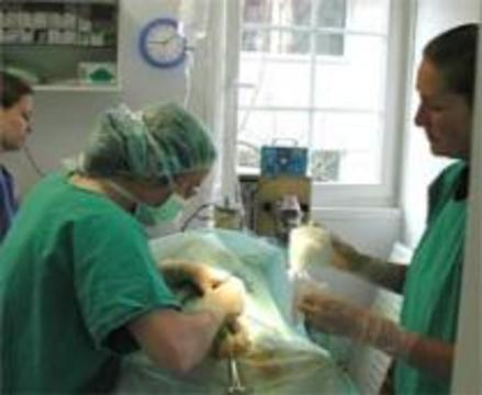 В Германии умер второй пациент c пересаженными "бешеными" органами