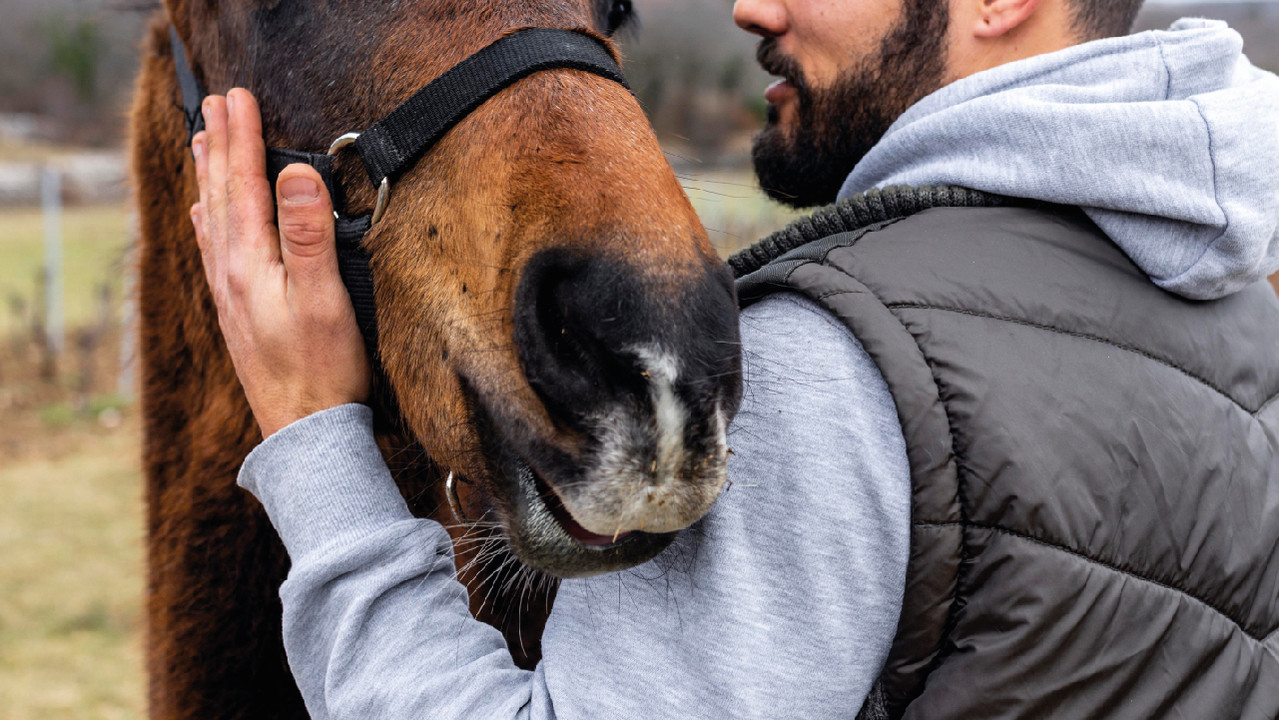 Петербургские хирурги полностью воссоздали пациенту нос, откушенный лошадью 