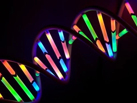 Обнаружены два новых соединения, которые могут входить в состав ДНК