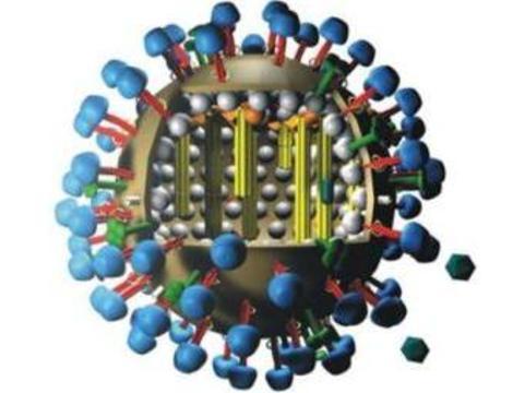 Как распространялся компьютерный вирус h1n1