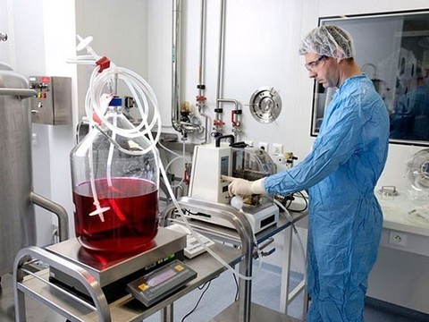 ВОЗ: необходимо публиковать результаты всех клинических испытаний лекарств