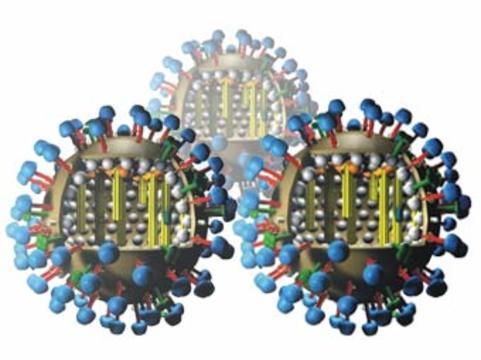 Число больных гриппом H1N1 в России [удвоилось за неделю]